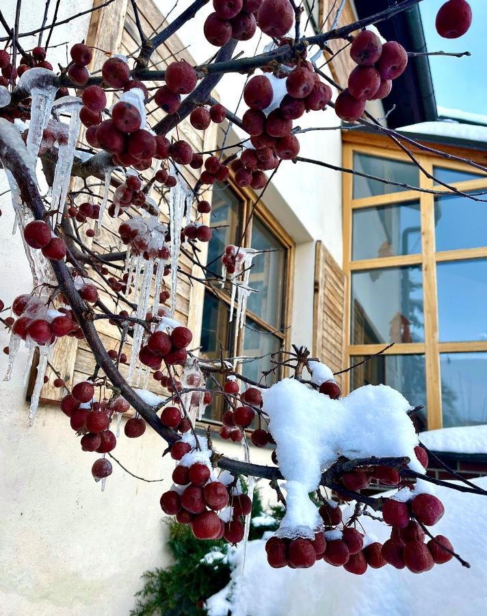 Hotel Stary Mlyn Jesionik Zewnętrze zdjęcie