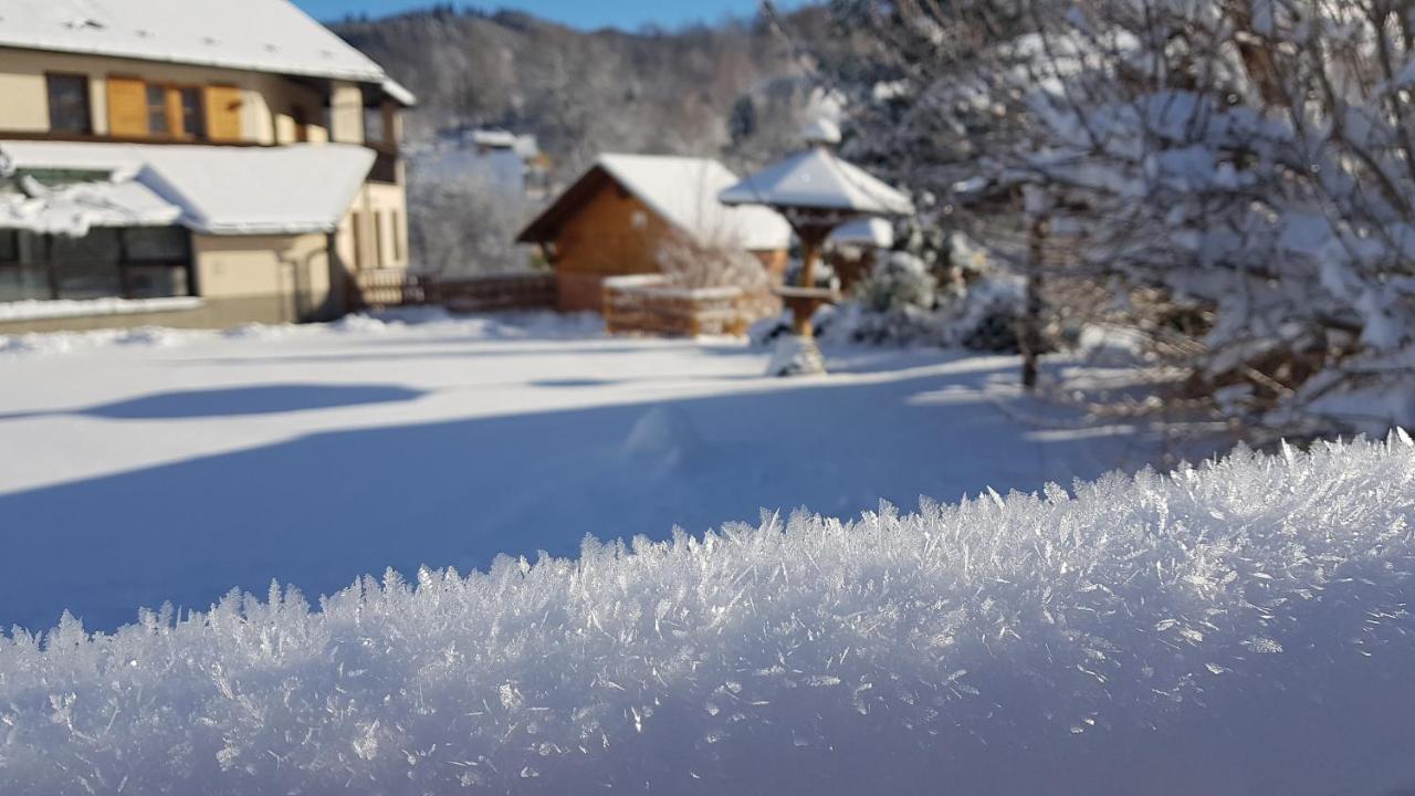 Hotel Stary Mlyn Jesionik Zewnętrze zdjęcie